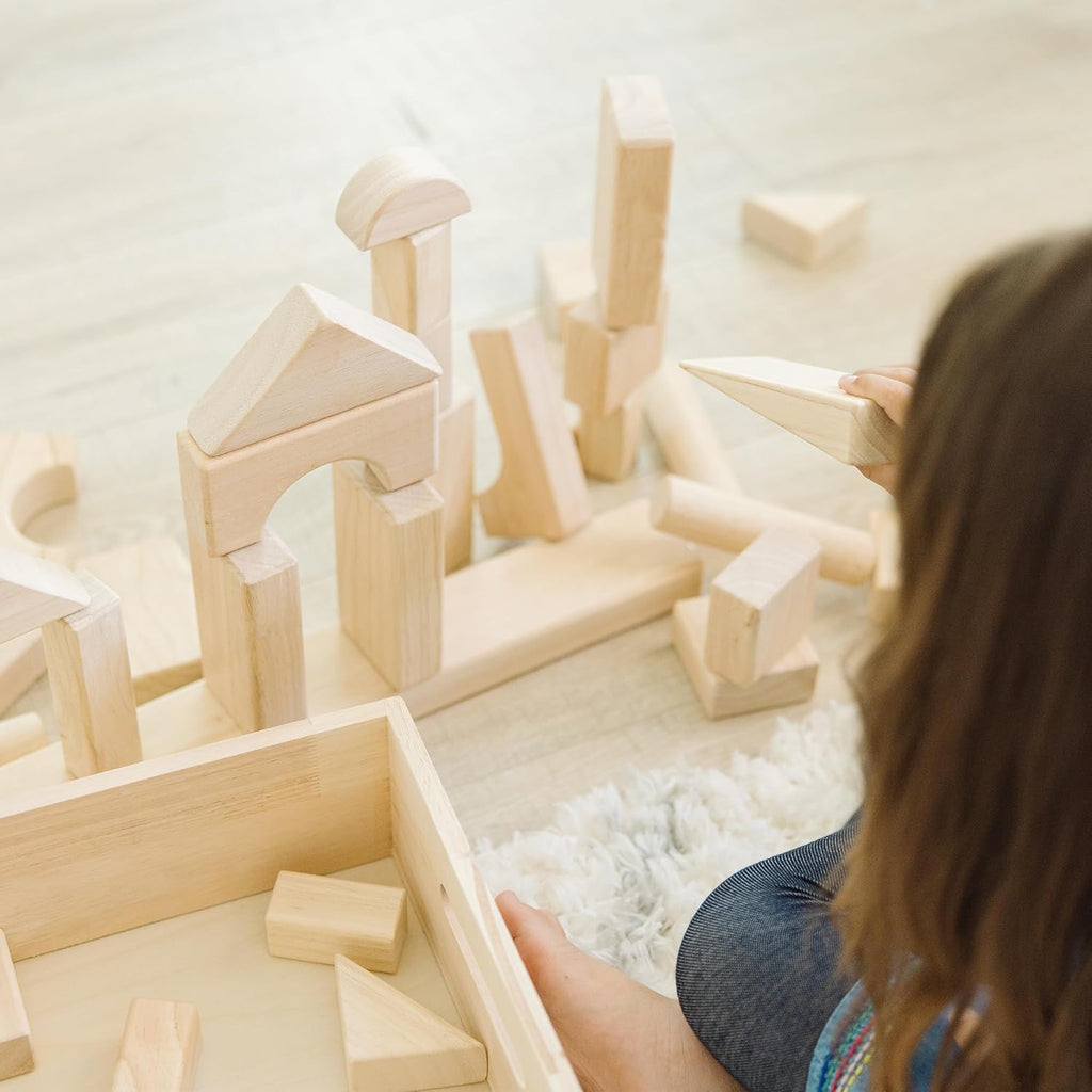 60-Piece Solid Wood Building Blocks with Storage Tray, Hardwood Stacking & Sorting Learning Toys for Kids 3+