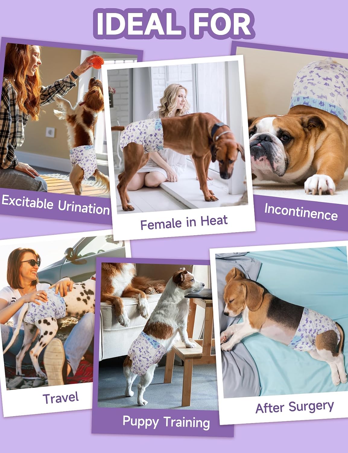 Disposable Dog Diapers (50-Pack) – Ultra-Absorbent, Foam Tail Hole, for Small Dogs