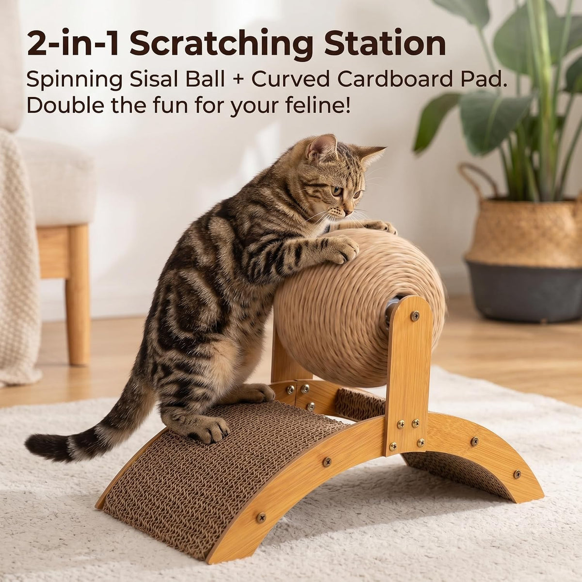 3-Pack Cat Scratching Ball and Slanted Scratching Board Set – Sisal Rope Ball Scratching Toy; Interactive Pet Toy for Indoor Kittens