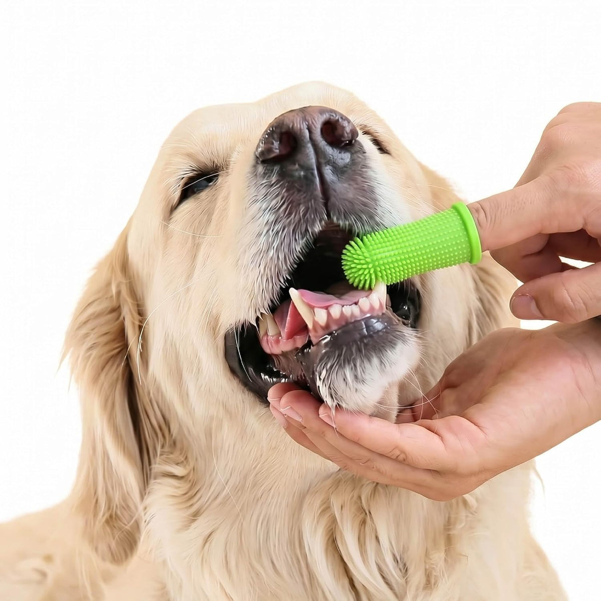 8-Piece Pet Grooming Bath Brush Set – Silicone Massage & Shampoo Dispenser for Dogs & Cats (Green)